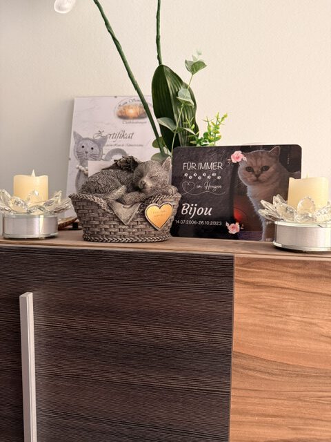 Bijous Urne hat einen Ehrenplatz bei ihrem Herrchen.