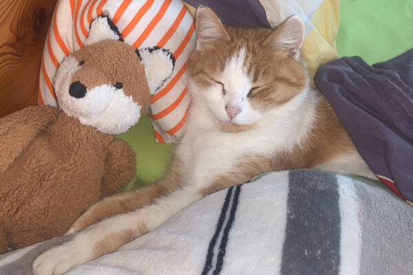 So ging mein Leben weiter …